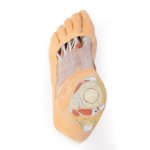 3D Fuß Modell - Plantarfläche und oberflächliche Präparation des Dorsum pedis