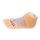 3D Fuß Modell - Plantarfläche und oberflächliche Präparation des Dorsum pedis