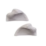 Bonnie Bone Posterior Iliac Crest Bone Inserts set