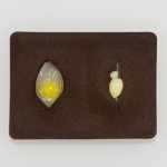 Simuliertes Gewebe mit Zyste und Abszess