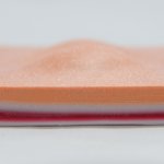 Simuliertes Gewebe mit Zyste und Abszess