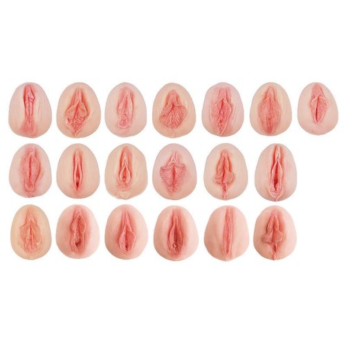 Vulva-Abdrücke mit vergleichender Anatomie