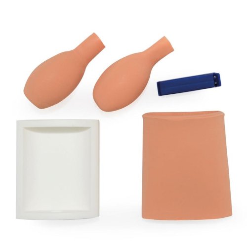 Blasenpunktionstrainer (Zystozentese)