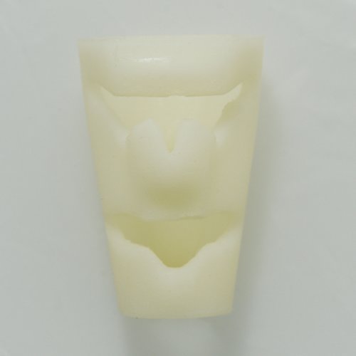 Cricothyroid Cartilage