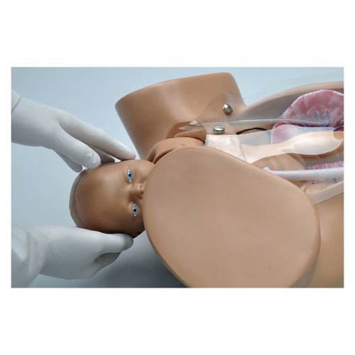 Advanced Childbirth Simulator with fetus placenta for obstetrics Training  Manikin
