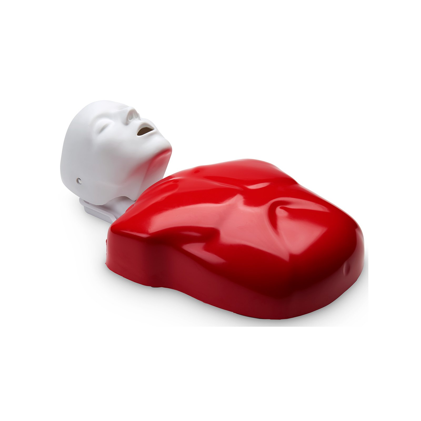 Basic Buddy CPR Torso Nasco LF03693 R10090 W44108 1005637