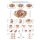 Chart Pelvic floor