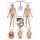 Chart The lymphatic system, 50x70cm