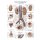 Chart Urinary system, 70x100cm