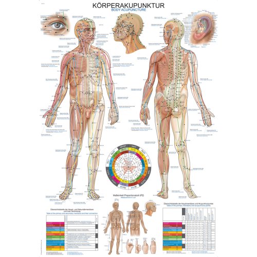 Chart Body acupuncture