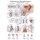 Chart Male genital organs, 70x100cm
