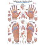 Chart Reflexzones hand and foot