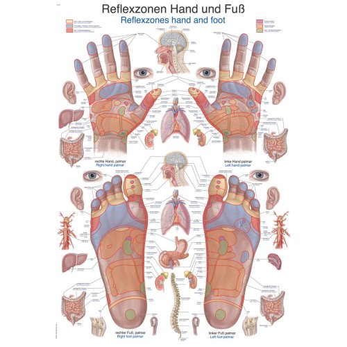 Chart Reflexzones hand and foot, 50x70cm