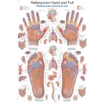 Chart Reflexzones hand and foot, 70x100cm
