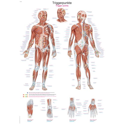 Chart Trigger points, 70x100cm