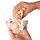 Mini pelvis with birthing doll