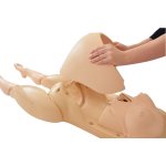 Full Perinatal Patient Care Simulator "Hana"