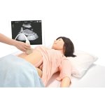 Full Perinatal Patient Care Simulator "Hana"