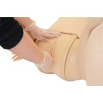 Full Perinatal Patient Care Simulator "Hana"