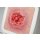 Frame Model Pressure Ulcer with Smooth Wound Edge - clean wound, light