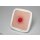 Frame Modell Stoma with suture dehiscence