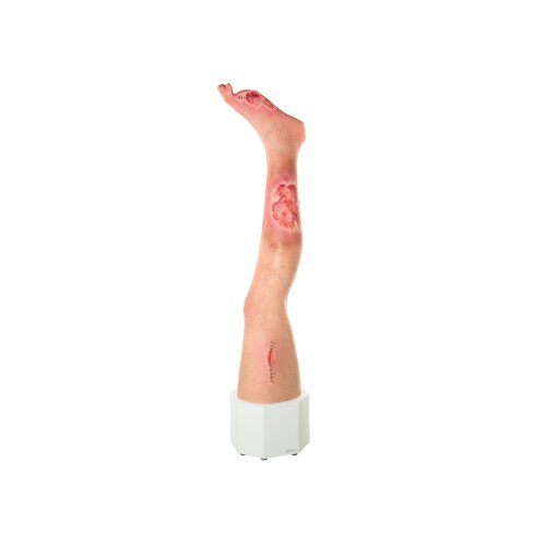 Base Model Leg with 7 Flat Wounds