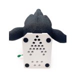 Hunde Intubationskopf