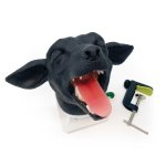 Hunde Intubationskopf