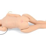 TERI Androgynous Geriatric Patient Simulator