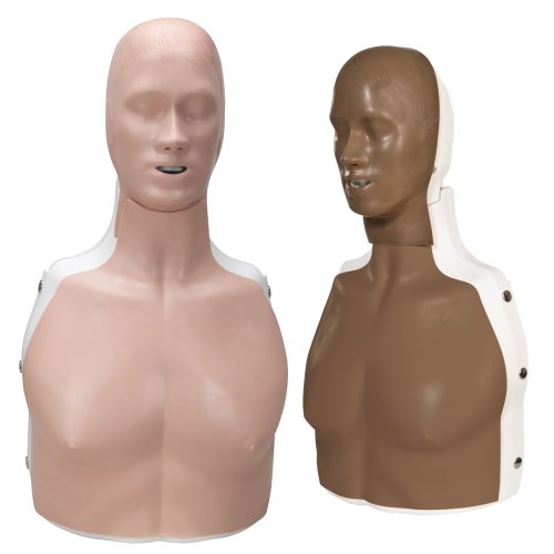 BasicBilly Life-Support Simulator