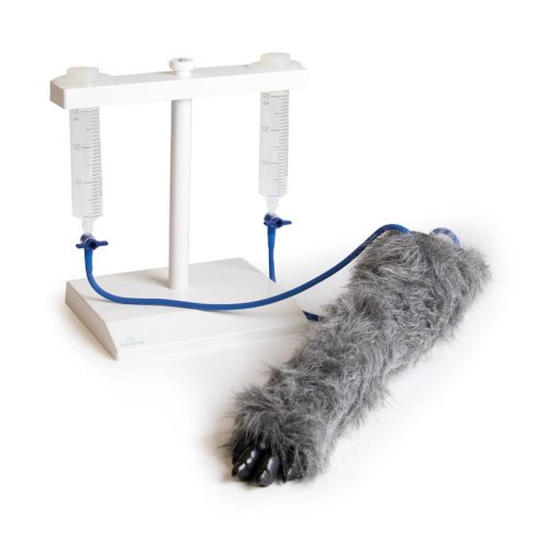 Hunde I.V. Injektionsbein