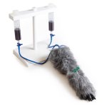 Hunde I.V. Injektionsbein