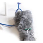 Hunde I.V. Injektionsbein