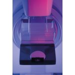 Breast Phantom for Mammography and Breast Tomosynthesis