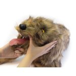 Hunde Positionierungspuppe Rocky