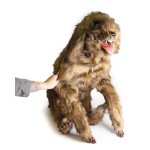 Hunde Positionierungspuppe Rocky
