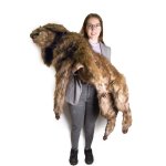Hunde Positionierungspuppe Rocky