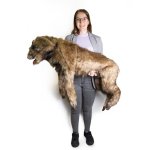 Hunde Positionierungspuppe Rocky