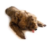 Hunde Positionierungspuppe Rocky