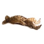 Hunde Positionierungspuppe Rocky