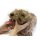 Hunde Positionierungspuppe Rocky