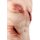 Trauma Training Torso