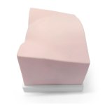 SonoEZ Ultrasound Trainer "Urinary Bladder"