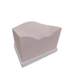 SonoEZ Ultrasound Trainer "Urinary Bladder"