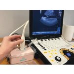 SonoEZ Ultrasound Trainer "Branched Vessel"