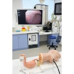 SimStar Gastro EGD Gastroscopy-Simulator