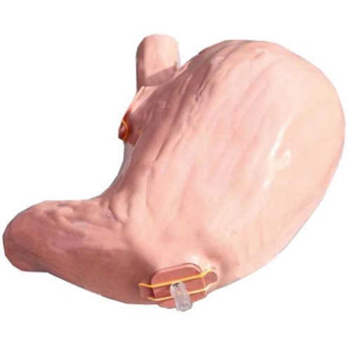 SimStar Gastro ÖGD Zusatzmagen "Spezial"