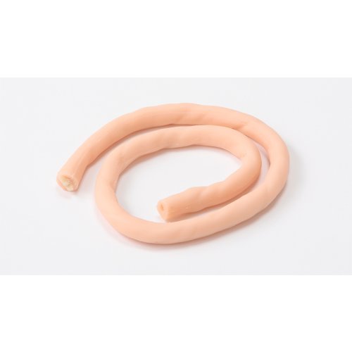Replacement Umbilical cord for Placenta model