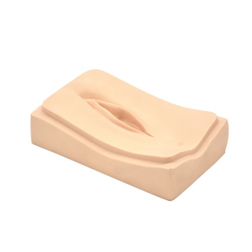 Perineorrhaphy 2 genitalia inserts