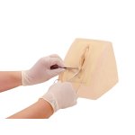 Perineorrhaphy 2 genitalia inserts